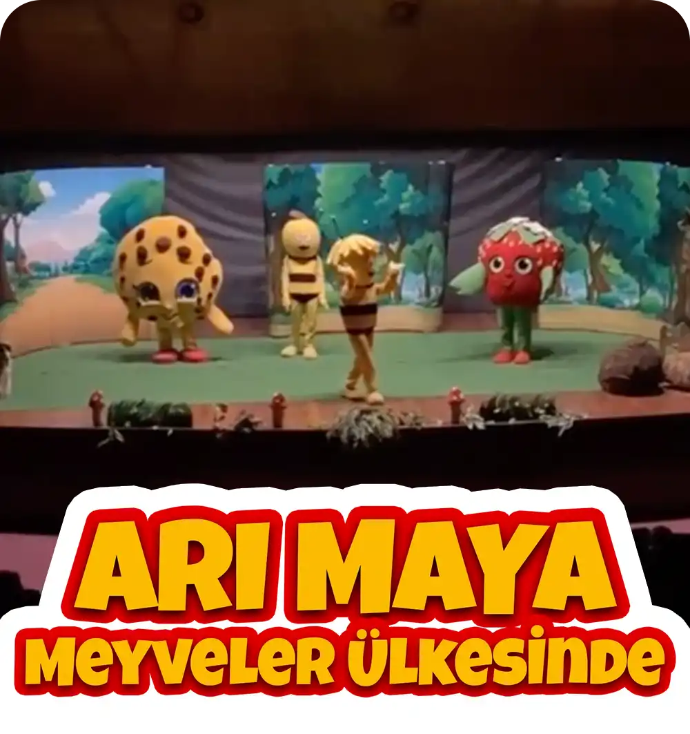 Arı Maya Meyveler Ülkesinde